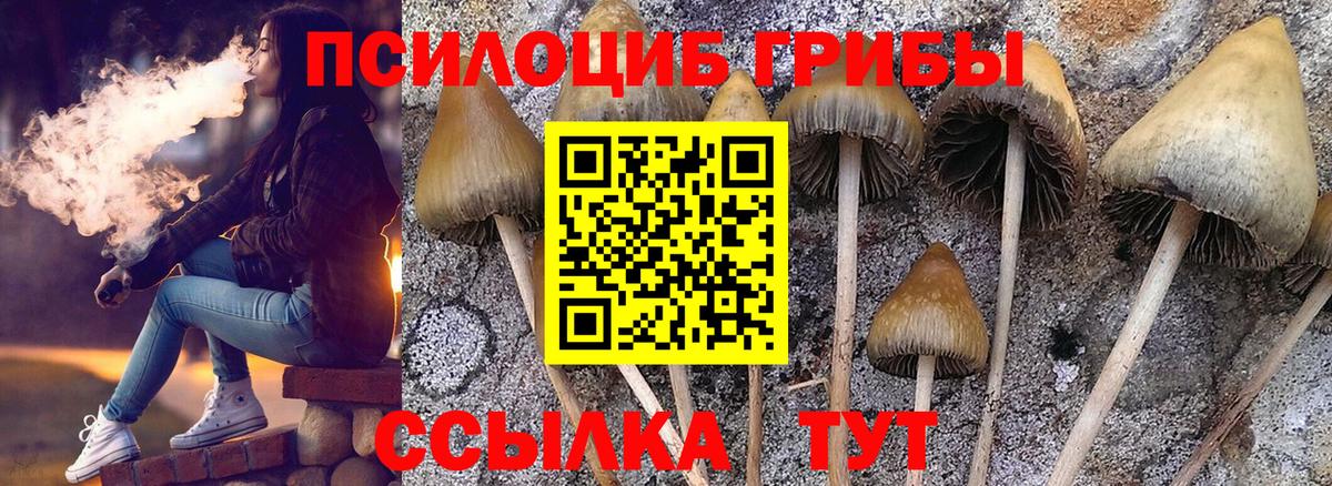 Галлюциногенные грибы MAGIC MUSHROOMS Красноуфимск