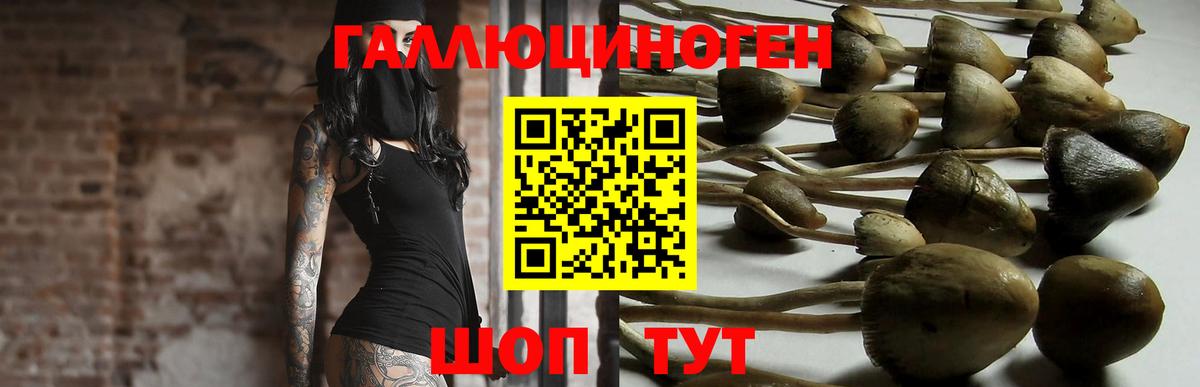 Галлюциногенные грибы GOLDEN TEACHER  Вход с VPN  Красноуфимск 